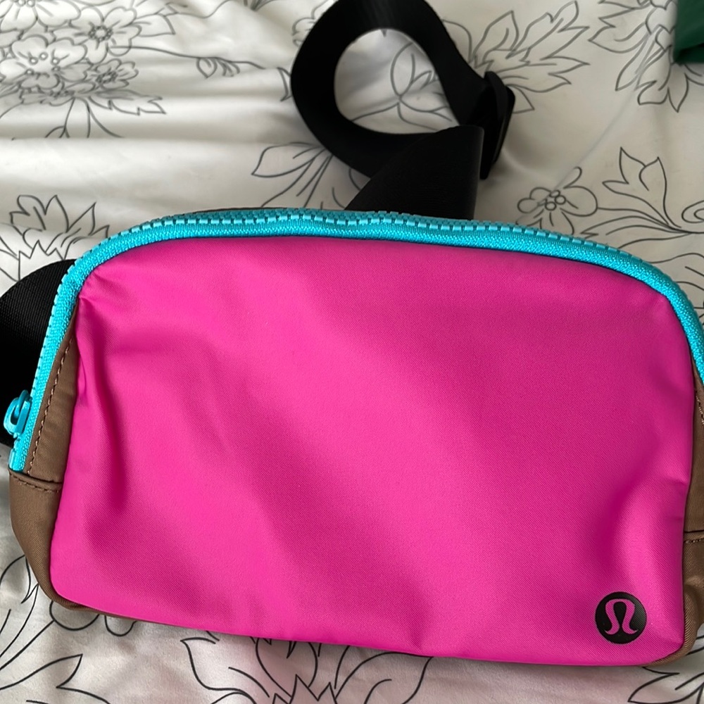 Everywhere belt bag